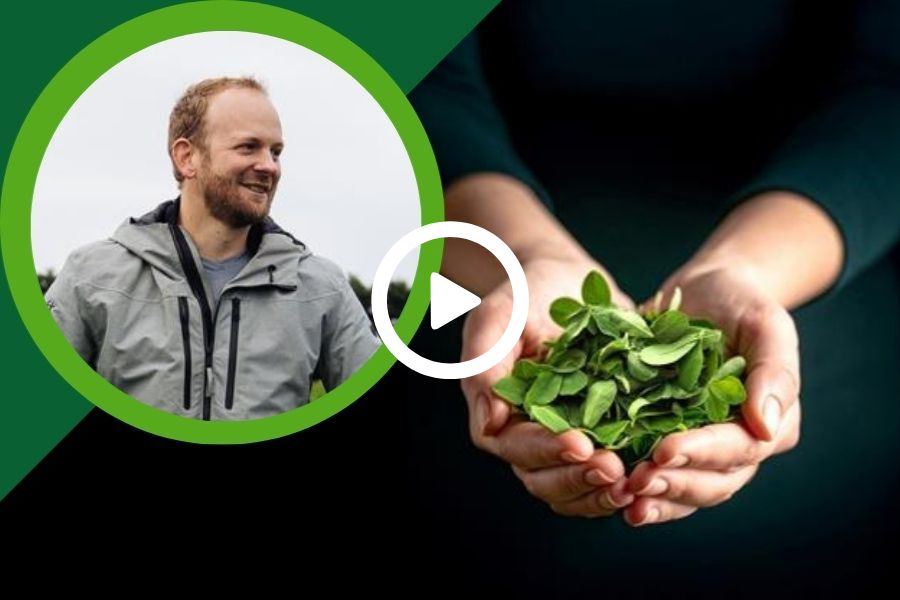 Milne's headshot next to hands holding alfalfa sprouts 